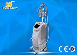 Cina Best seller vertical fat freezing cryolipolisis coolsculpting cryolipolysis machine pemasok