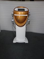 Cina Berdiri ultrasonik Cavitation Tripolar RF Kecantikan Equipment produsen pemasok