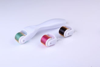 Cina Titanium Derma Rolling sistem, 2,0 mm 540 Microneedles Roller kulit untuk perawatan kulit pemasok