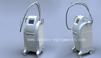Cina 2012 Paling populer Cryolipolysis lemak pengurangan Cryolipolysis mesin pemasok