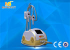 Cina Cryo Fat Dissolved Weight Loss Coolsculpting Cryolipolysis Machine pabrik